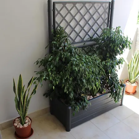Apartment Casa Angelina Lecce